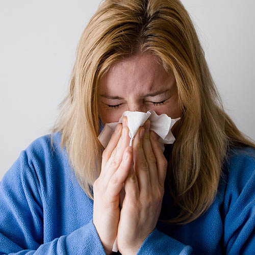 Vue interieure de la Pharmacie Centrale d'Athis-Mons
